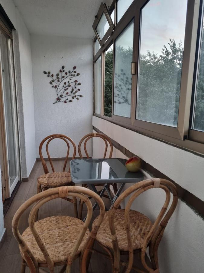 Apartmán Roza