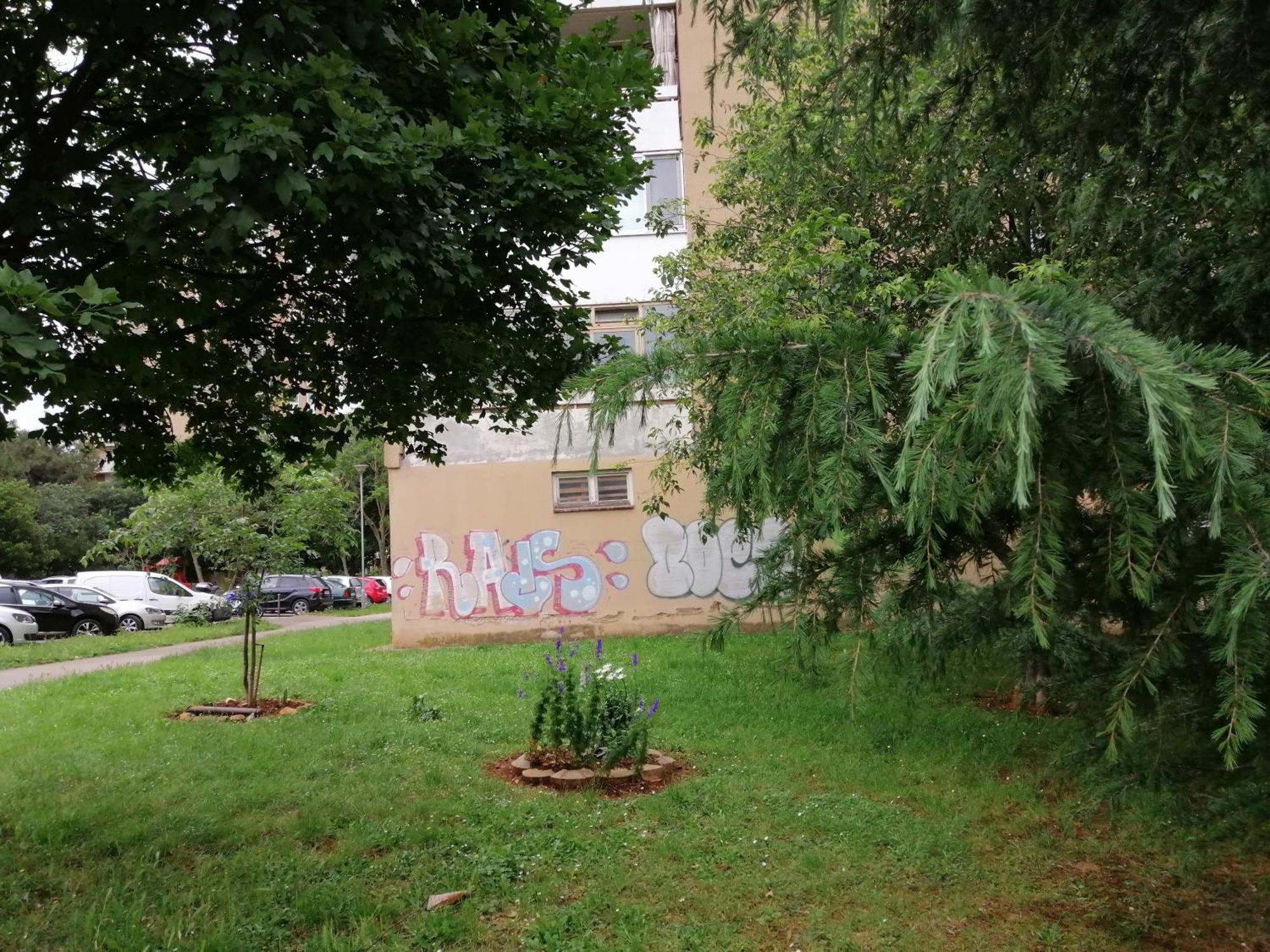 Apartment Roza