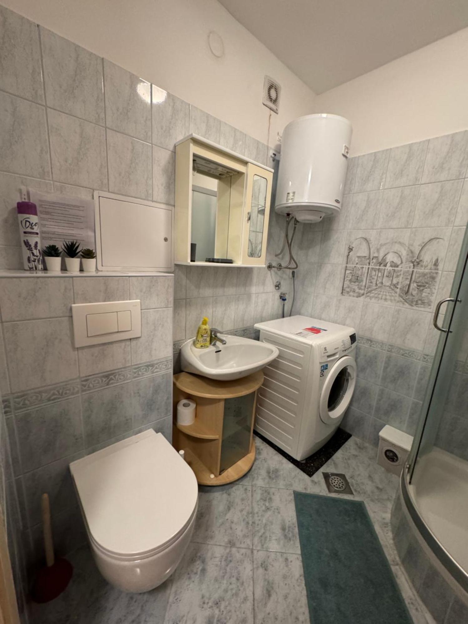 Apartment Roza Pula